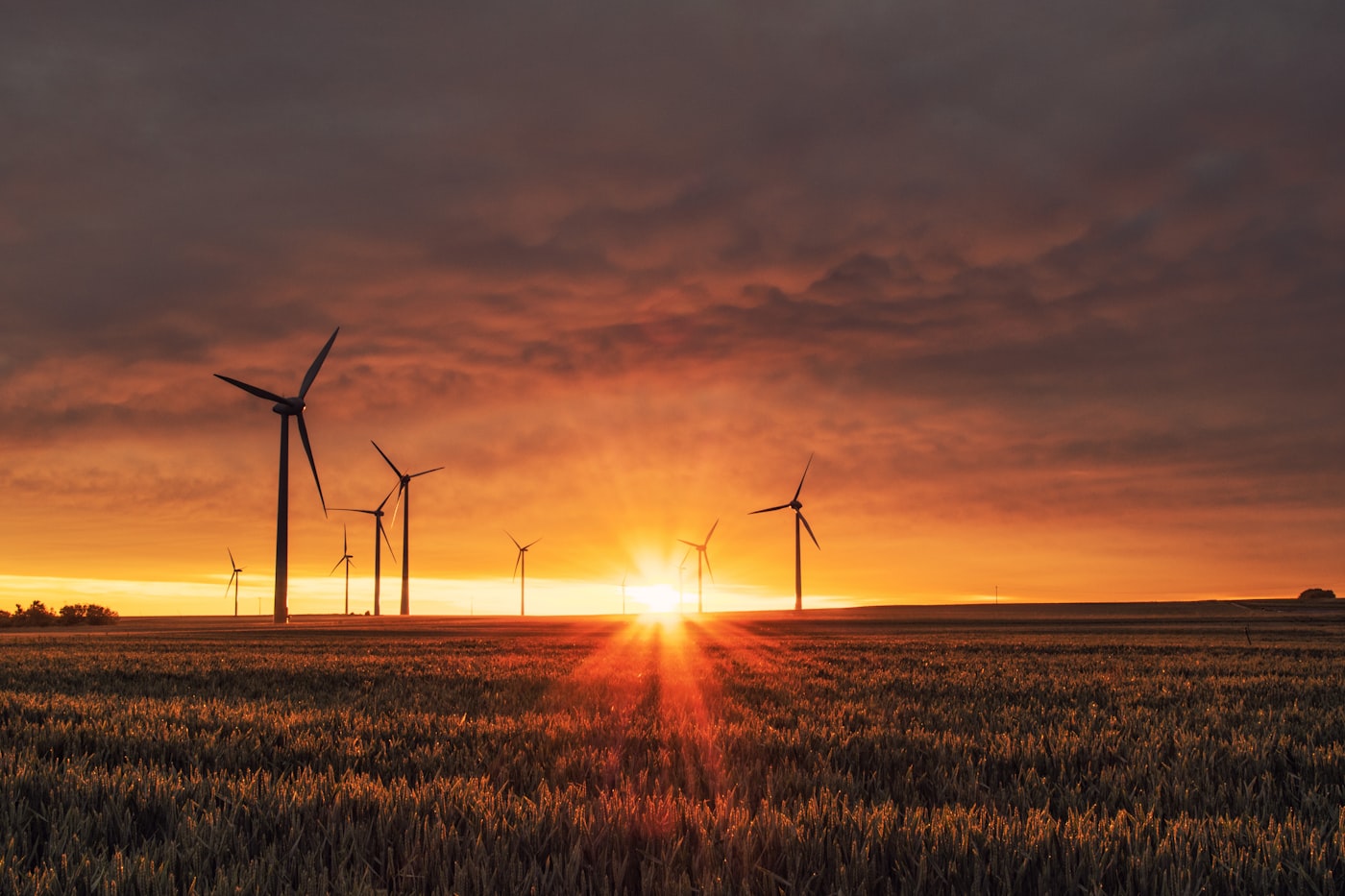 Certificat exécutif en Transition Énergétique et Finance Climatique